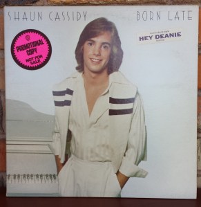 Shaun Cassidy